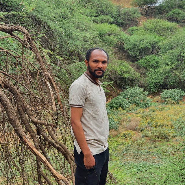 Kasiye Taye